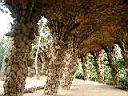 Gaudi's Parq Guell
